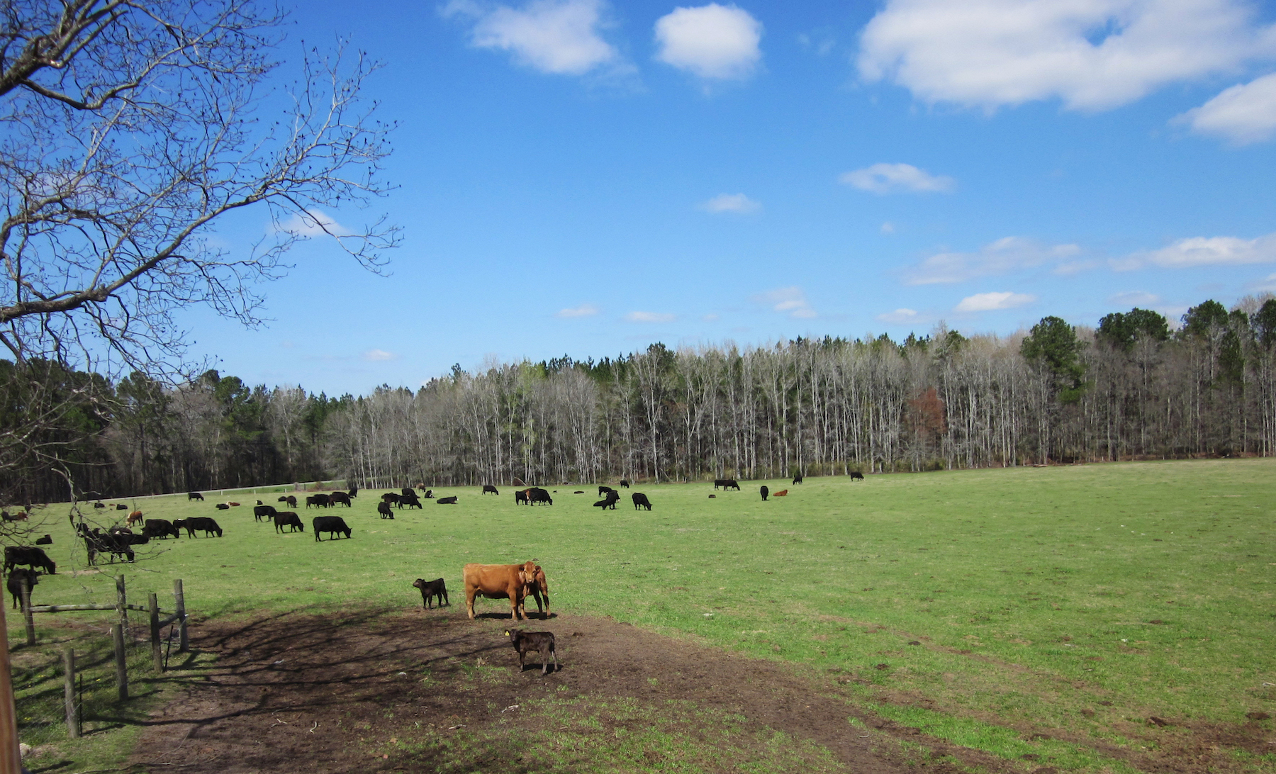 Platt Farm 1