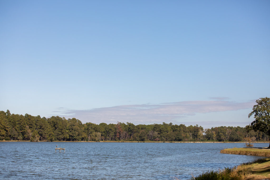 CR1A0871
