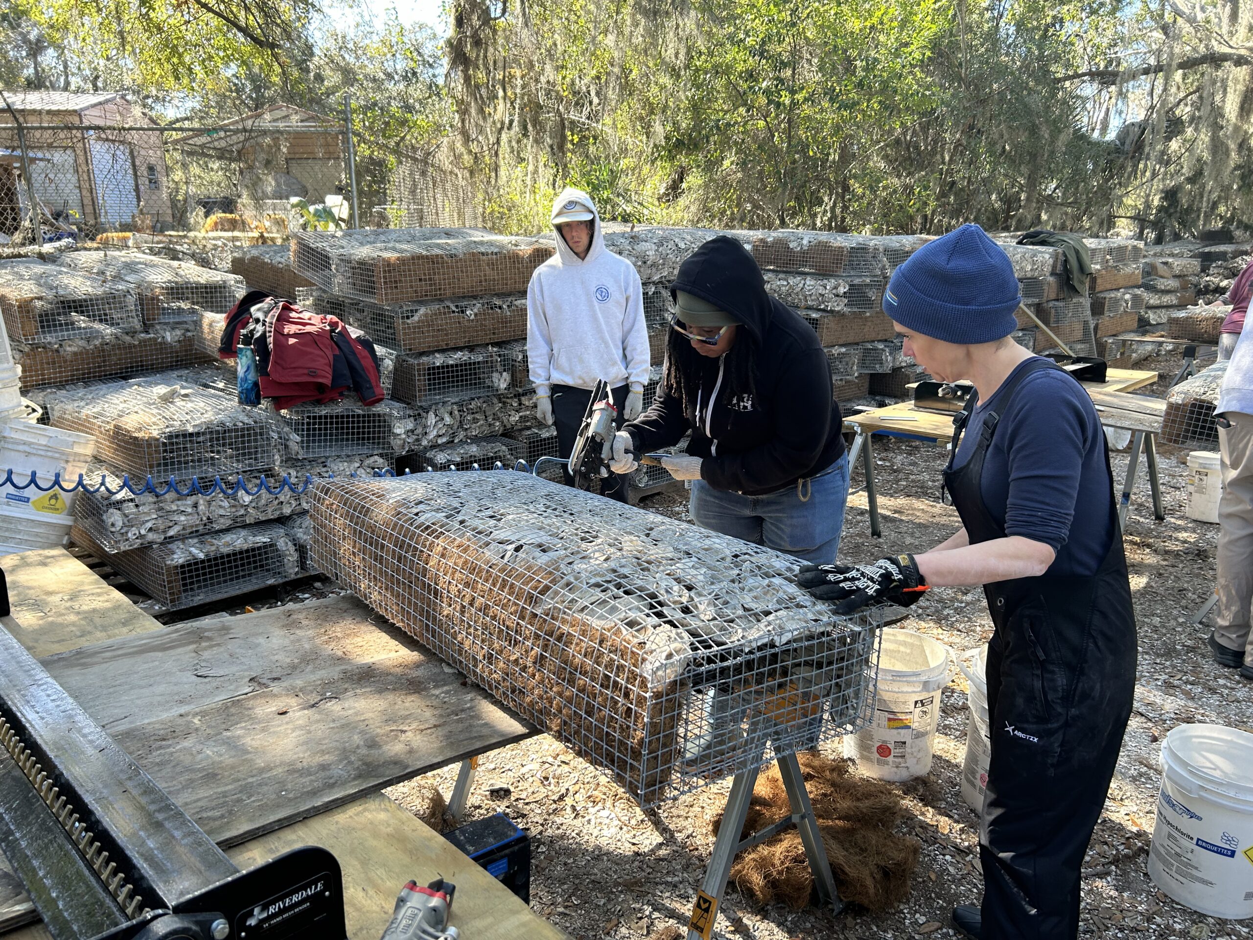 Copy of Photo 2024-02-21 02.17