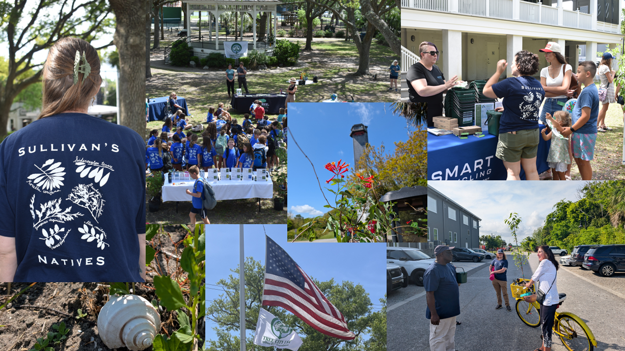 Arbor Day 2025 Montage